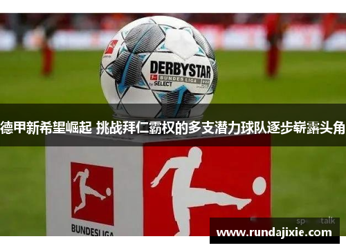 德甲新希望崛起 挑战拜仁霸权的多支潜力球队逐步崭露头角