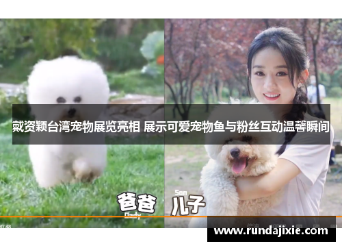 戴资颖台湾宠物展览亮相 展示可爱宠物鱼与粉丝互动温馨瞬间